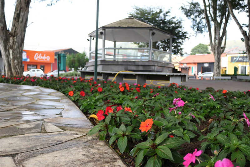 Paisagismo em Pindamonhangaba | Grupo Máximos